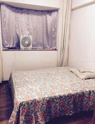 Evergreen Park (D19), Apartment #481300521